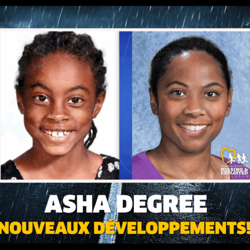 Asha Degree - De nouveaux développements! (Mini-Disto)